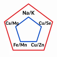 Mineral Balance Diet
